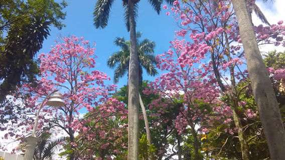 Francisco de Paula Santander Park