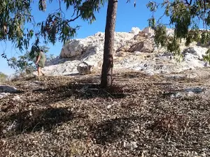 White Blow