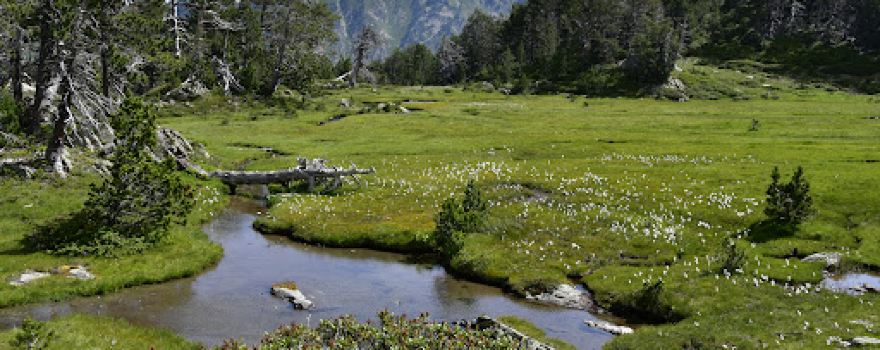 Àrea de pícnic d'Esposolla 2