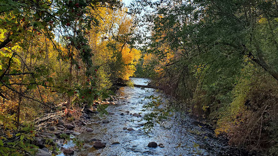 Greenough Park