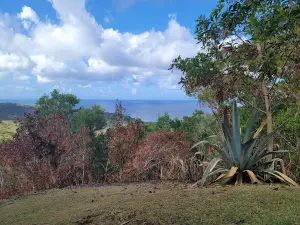 Sella Bay Overlook