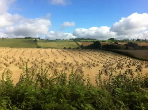 Appledore Park Caravan & Campsite Touring Dartmoor