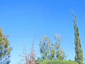 Deportiva Cuerámaro