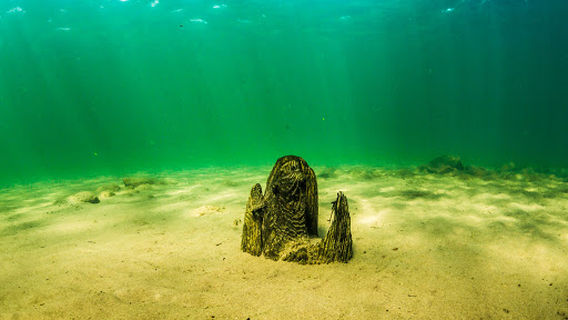 Hertig Johans Brygga