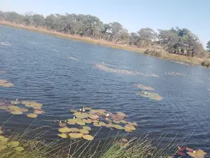 Mutakura Dam and Canal
