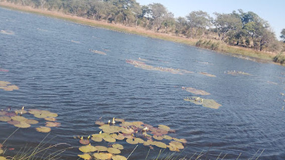 Chipinge
