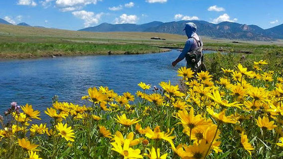 South Platte Fly Shop