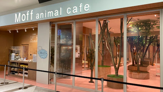 Moff animal cafe LaLaport Fukuoka