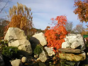 Spencer’s Garden Centre