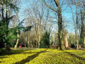 Schloßpark Ostrau