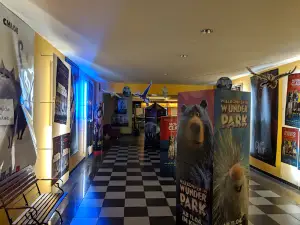 Cinema 64 movie and more
