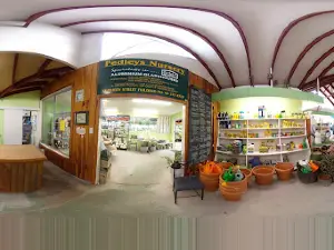 Pedleys Nursery