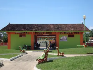 Bible Square