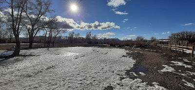 Cottonwood Park