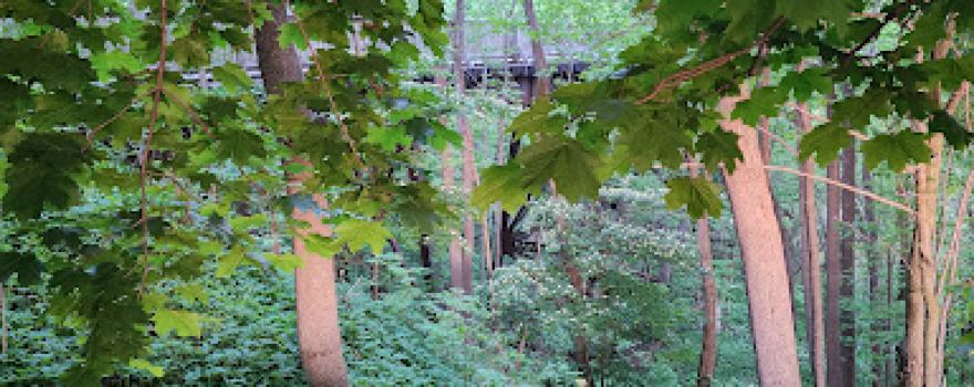 Chesley Heritage Trail