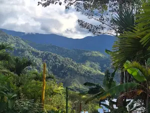 LA PACHAMAMA - FINCA ECOTURÍSTICA EN BUGA