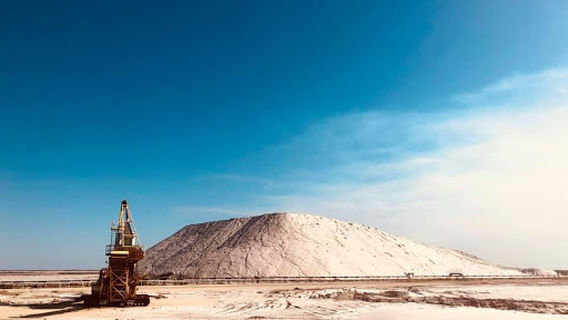 Camping Les Bois Flottés de Camargue