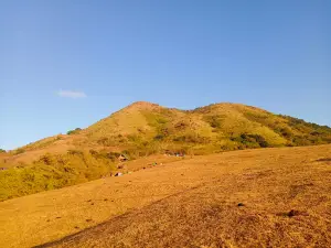 Mt. Talamitam