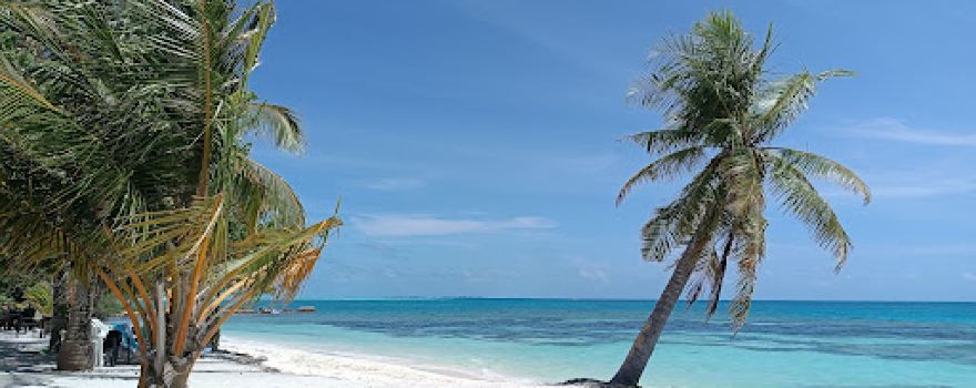 Maldivers Dhiffushi
