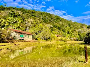Monte Crista
