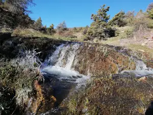 Kent Ormanı Konya