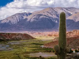 Río Calchaquí