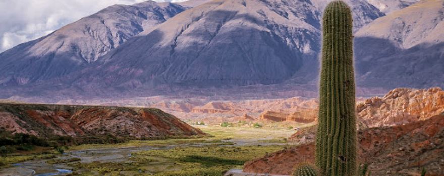 Río Calchaquí