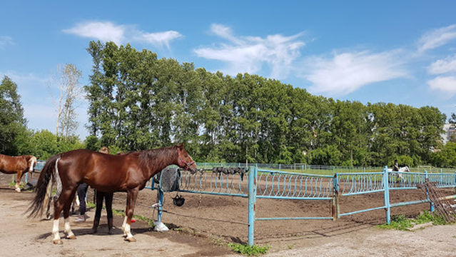 garden Metallurgists