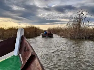 Paseos en barca por la Albufera desde el Palmar, Ernesto Soler