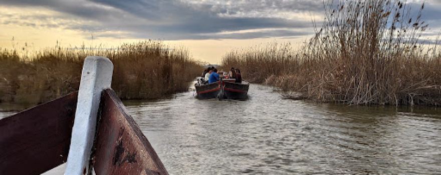 Paseos en barca por la Albufera desde el Palmar, Ernesto Soler