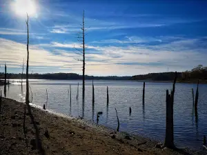 Pine Creek Lake