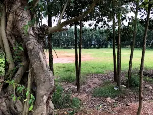 Sân Vận Động Xã Kiên Thành