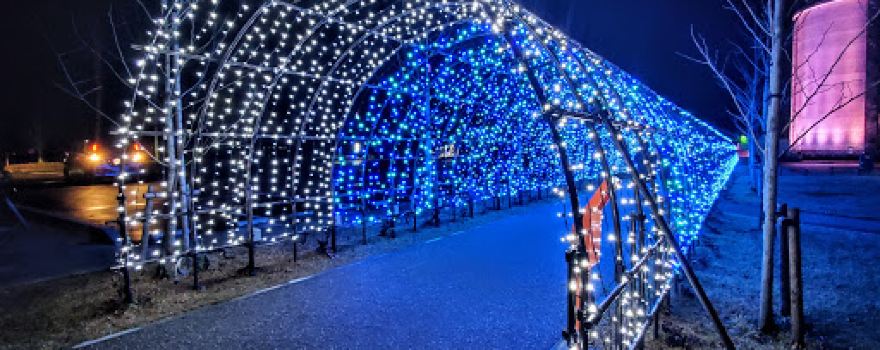 Yuri-no-Sato Park Tunnel of Light and Flowers