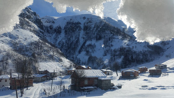 Arakli