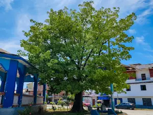 Parque El Avión Urb. Andrés Araujo Morán Tumbes Perú