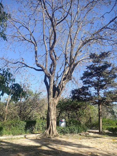 Jawahar Park