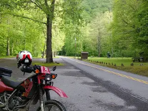 Panther State Forest