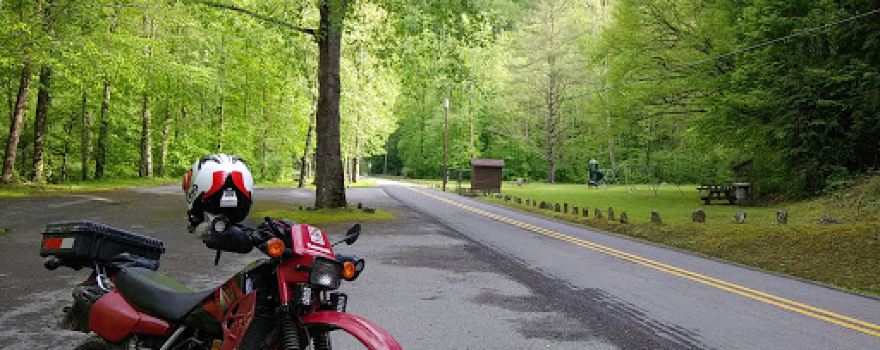 Panther State Forest