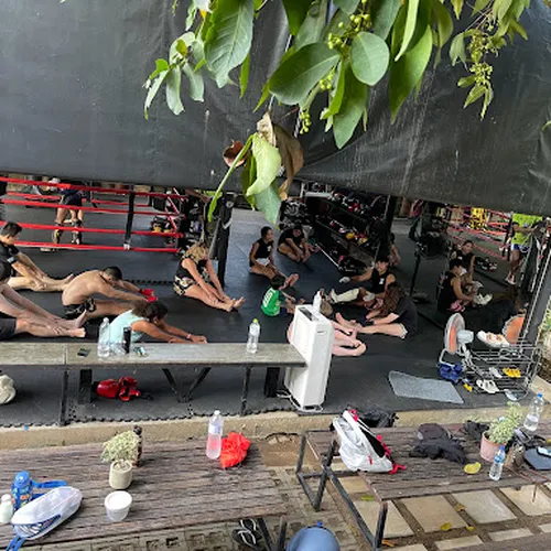 Wildcat Muay Thai ไวล์ดแคทมวยไทย