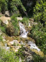Cascada del rio Carbo