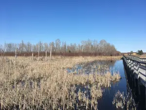 Hilliardton Marsh Research and Education Center