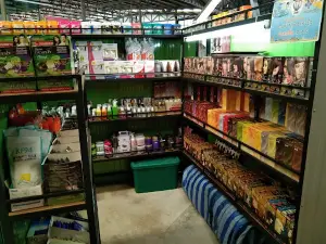 ตลาดเทวดา