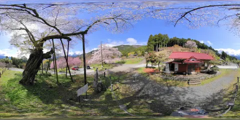 本郷の千年桜