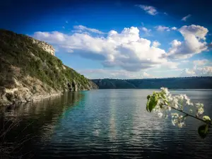Bakota. Zona Vidpochynku