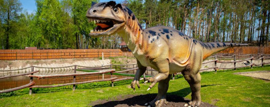 Family Adventure Park Górecznik