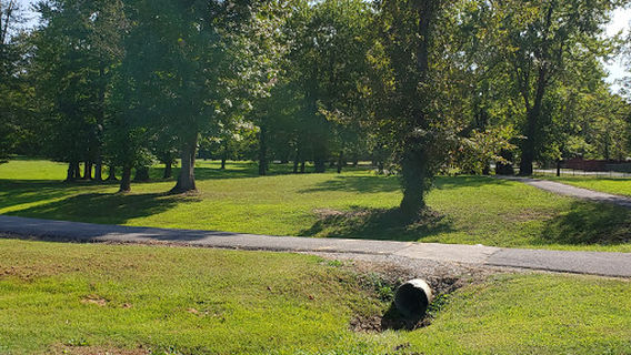 Metropolis Sports Park