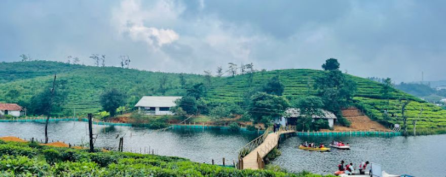 Tea Lakes