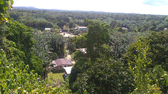 KAMPUNG Seri Tanjung