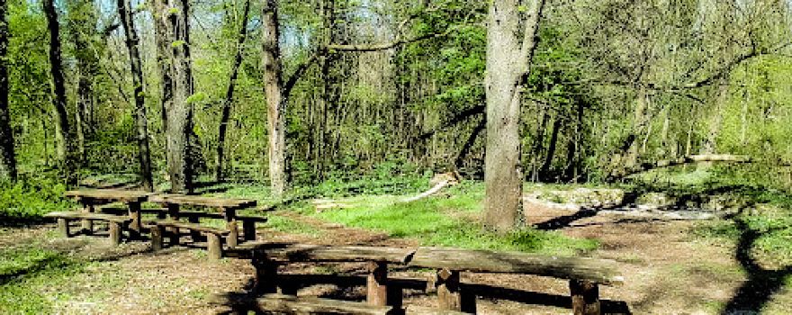 Sárpentele Forest Park