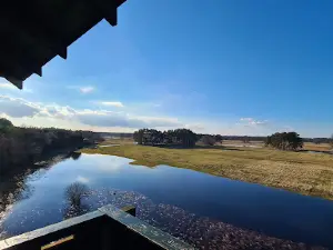 Wieża Widokowa W Czmońcu